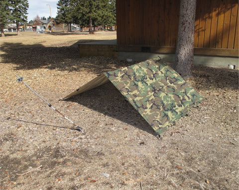 Tarp 2